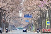德阳共建“花园城市” 北京这场议政会“百花齐放”