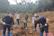 德阳广州已打造首批32处“绿美宗教活动场所”