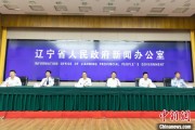 德阳辽宁平安建设成效显著 2025年聚焦五大重点任务