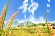 德阳芒种节气小知识来了 夏种作物都有什么？