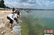德阳云南江川举行增殖放流活动 逾54万尾鱼游入星云湖